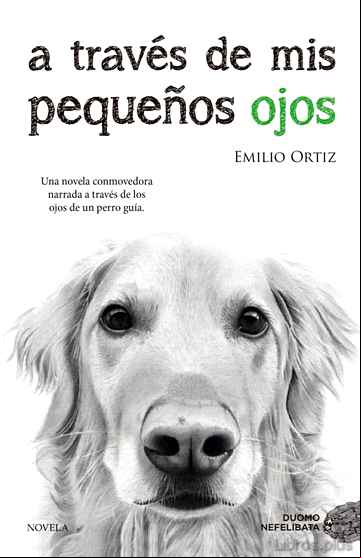 Descargar ebook A TRAVES DE MIS PEQUEÑOS OJOS (8ª ED.)