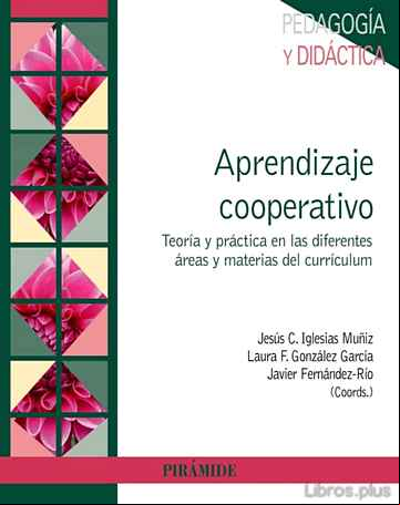 Descargar gratis ebook APRENDIZAJE COOPERATIVO: TEORIA Y PRACTICA EN LAS DIFERENTES AREAS Y MATERIAS DEL CURRICULUM en epub