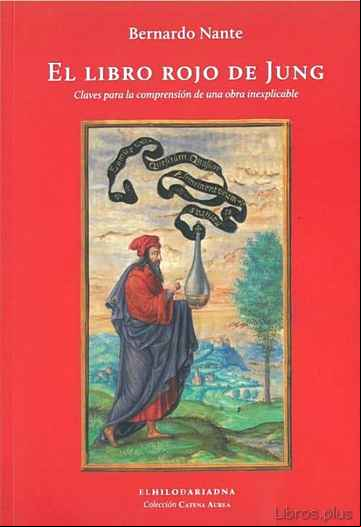 Descargar gratis ebook EL LIBRO ROJO DE JUNG: CLAVES PARA LA COMPRENSION DE UNA OBRA INEXPLICABLE en epub