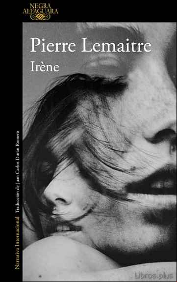 Descargar ebook IRENE (SERIE CAMILLE VERHOEVEN 1)