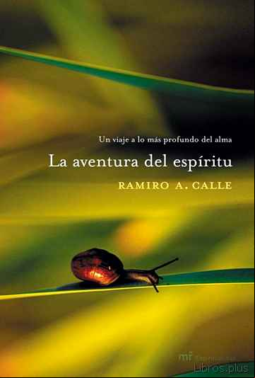 Descargar ebook LA AVENTURA DEL ESPIRITU: UN VIAJE A LO MAS PROFUNDO DEL ALMA