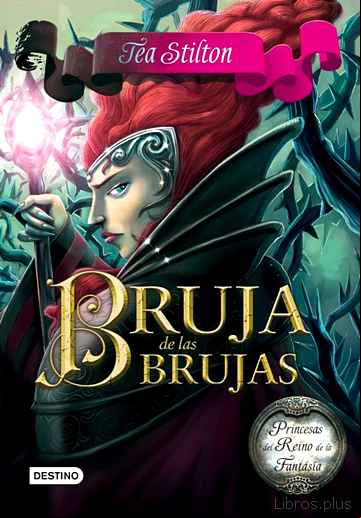 Descargar gratis ebook PRINCESAS DEL REINO DE LA FANTASIA 13: BRUJA DE LAS BRUJAS en epub