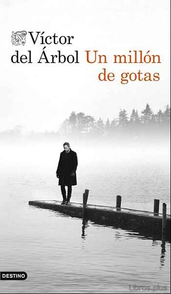 Descargar gratis ebook UN MILLON DE GOTAS en epub