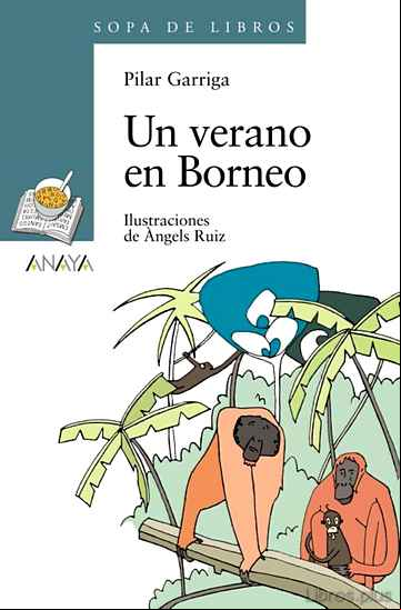 Descargar ebook UN VERANO EN BORNEO en epub